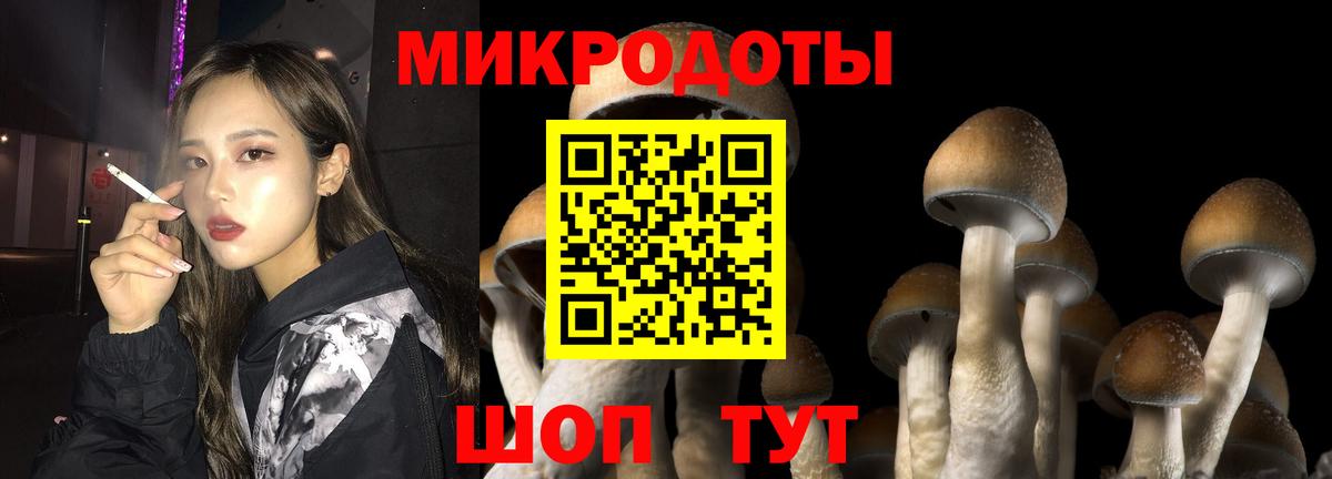 Урай  Псилоцибиновые грибы прущие грибы  Псилоцибиновые грибы GOLDEN TEACHER  Вход с VPN 