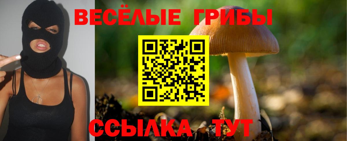 Псилоцибиновые грибы MAGIC MUSHROOMS Урай